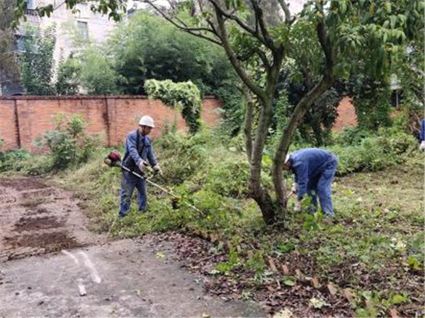 美化环境凝人心 雨中坚守显真情——隆山科峰公司党支部开展主题党日活动3.jpg