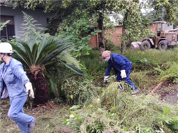 美化环境凝人心 雨中坚守显真情——隆山科峰公司党支部开展主题党日活动2.jpg