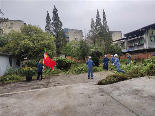 美化环境凝人心 雨中坚守显真情——隆山科峰公司党支部开展主题党日活动4.jpg