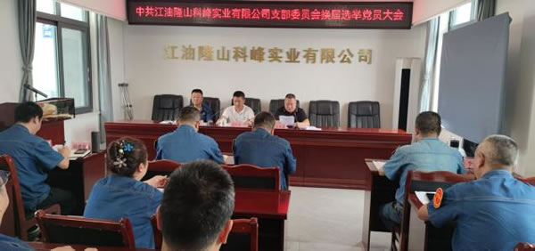 公司党支部召开党员大会 谋划未来三年党建新蓝图2.jpg